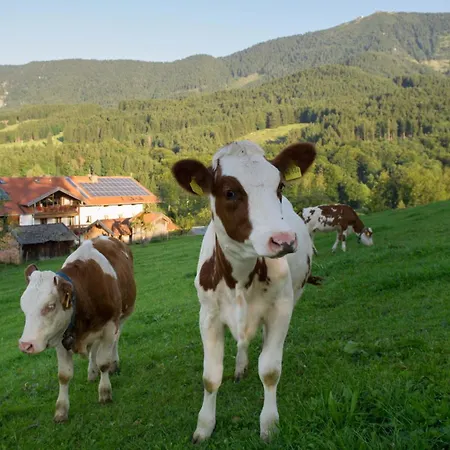 Nudlbichlerhof * Samerberg
